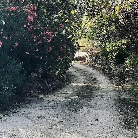 Moradia Na Serra Alcanede Exteriör bild