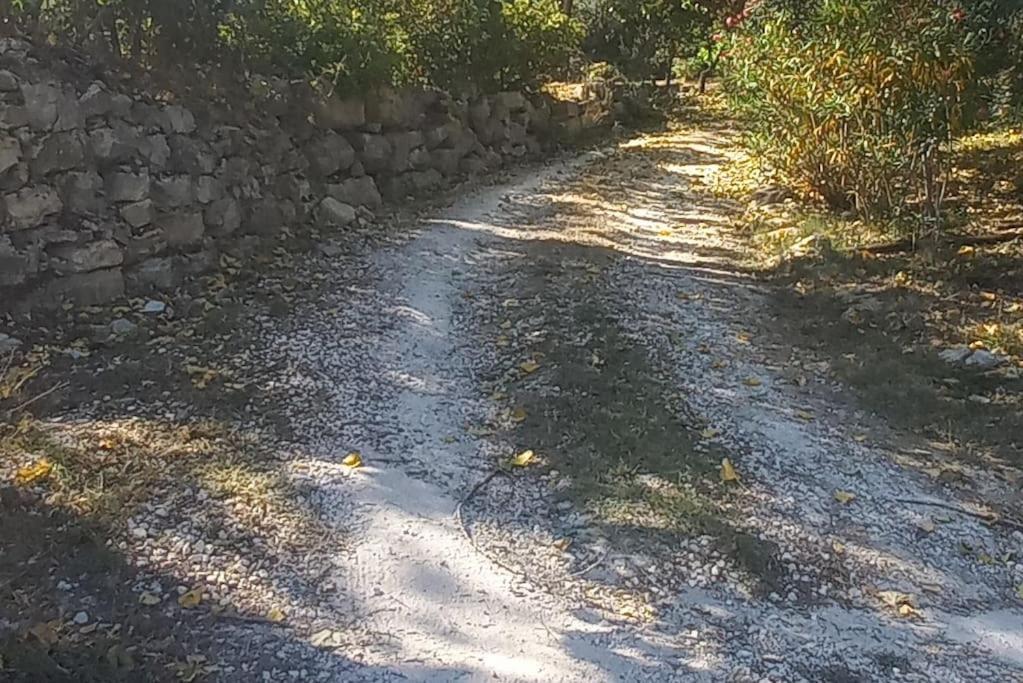 Moradia Na Serra Alcanede Exteriör bild