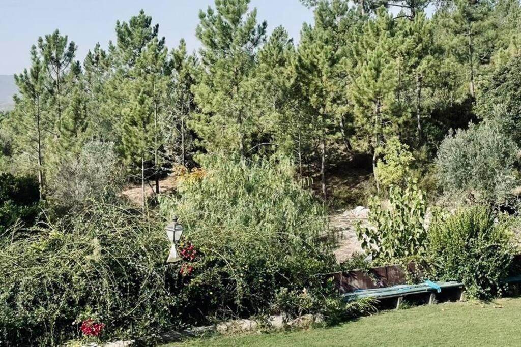 Moradia Na Serra Alcanede Exteriör bild