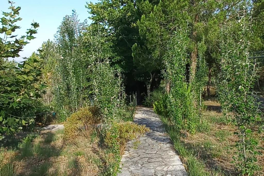 Moradia Na Serra Alcanede Exteriör bild