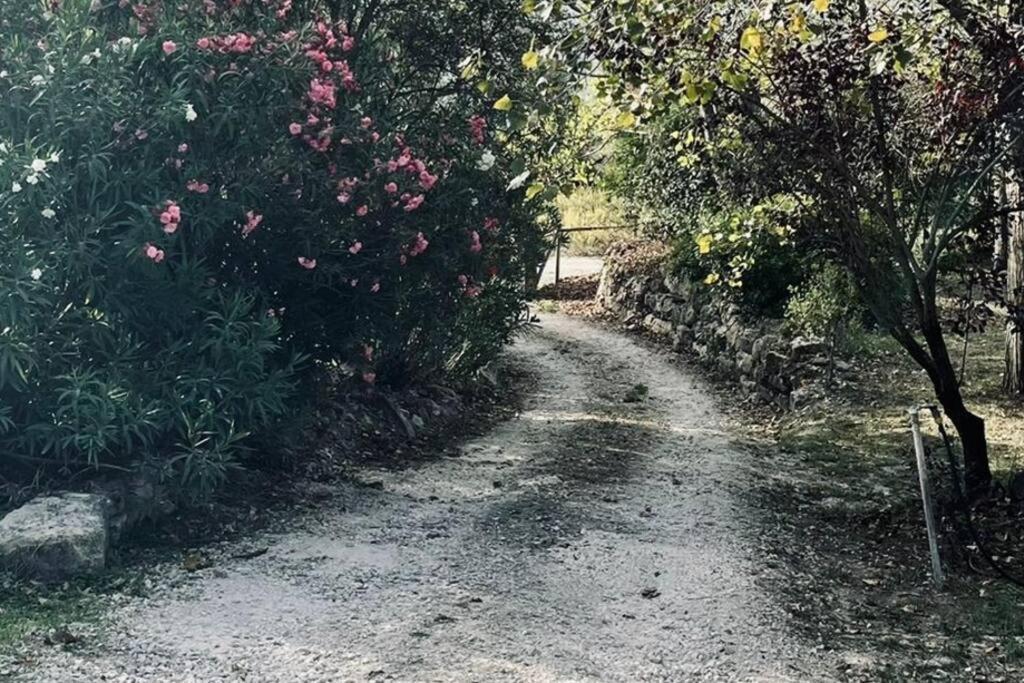 Moradia Na Serra Alcanede Exteriör bild